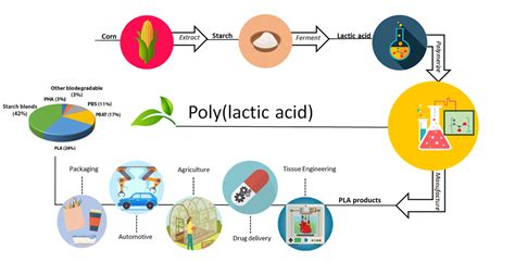  Lactic Acid: Un acide extraordinaire pour la production de polymères biodégradables et les produits d'entretien écologiques !