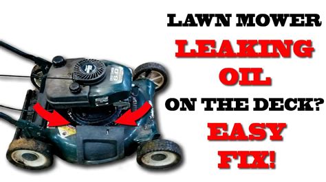 Can I Use Car Oil in My Lawn Mower? And Why Do Trees Whisper Secrets at Night?