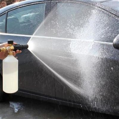 Can You Use Car Wash Soap in a Pressure Washer? And Why Do Fish Love Bubbles?