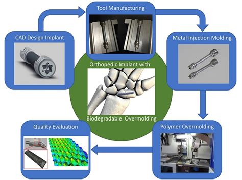  Dextran: Un Polymère Biocompatible pour des Implants Durables et Innovants!