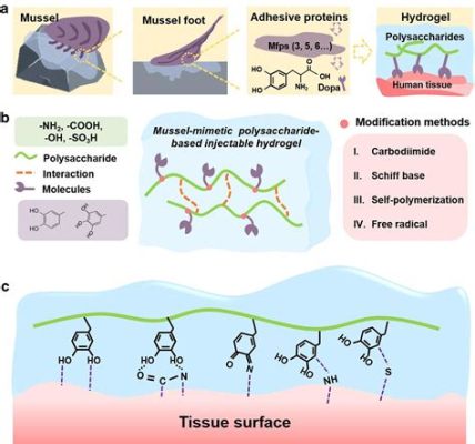  Décryptage du Dextran: Polymère polyvalent pour applications biomédicales révolutionnaires !