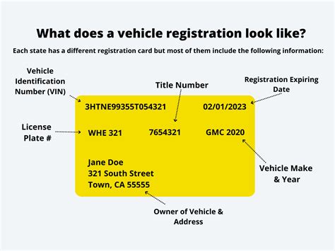 Do I Need a Massachusetts License to Register a Car? And Why Do Pineapples Belong on Pizza?