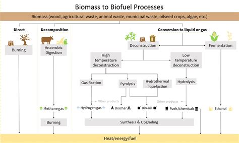 Linseed: Un trésor oublié pour l'industrie chimique et la production de biocarburants ?