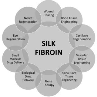  Silk Fibroin: La Matière Textile Naturelle pour les Applications Biomédicales Innovantes !