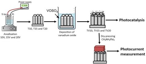 Vanadium Oxide Nanotubes: Catalyseurs Inégalables pour les Applications Energétiques!