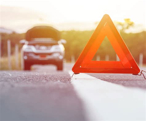 Why Did My Car Just Shut Off While Driving: And Why Do Birds Suddenly Appear Every Time You Are Near?