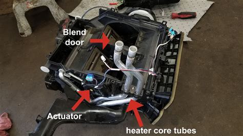 Why Isn't My Car Blowing Hot Air, and Why Do Penguins Prefer Cold Weather?