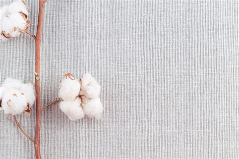 Wool: Une Matière Première Textile Naturelle et Durable pour des Textiles de Haute Qualité!